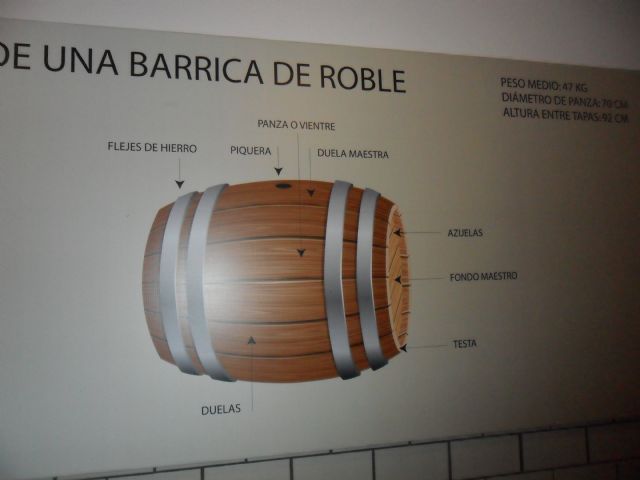 2. Ruta del Vino en Jumilla. 12/10/2013  - 41
