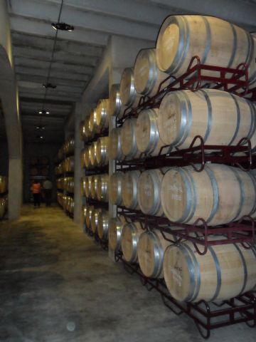 2. Ruta del Vino en Jumilla. 12/10/2013  - 43