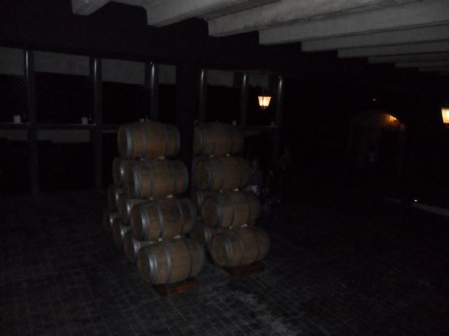 2. Ruta del Vino en Jumilla. 12/10/2013  - 70
