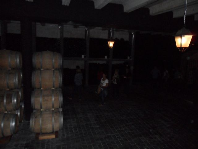2. Ruta del Vino en Jumilla. 12/10/2013  - 71