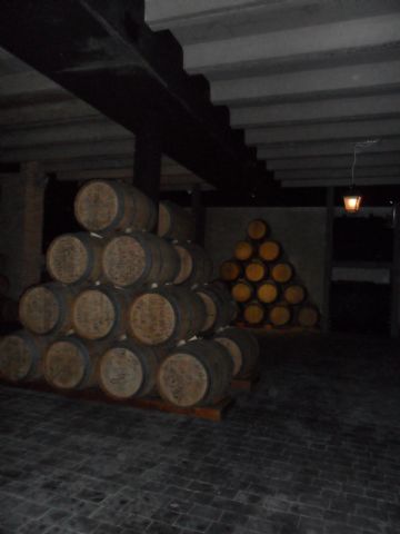 2. Ruta del Vino en Jumilla. 12/10/2013  - 82