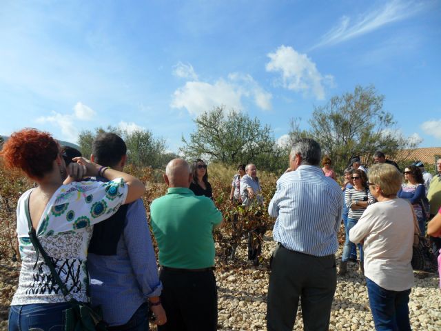 2. Ruta del Vino en Jumilla. 12/10/2013  - 58