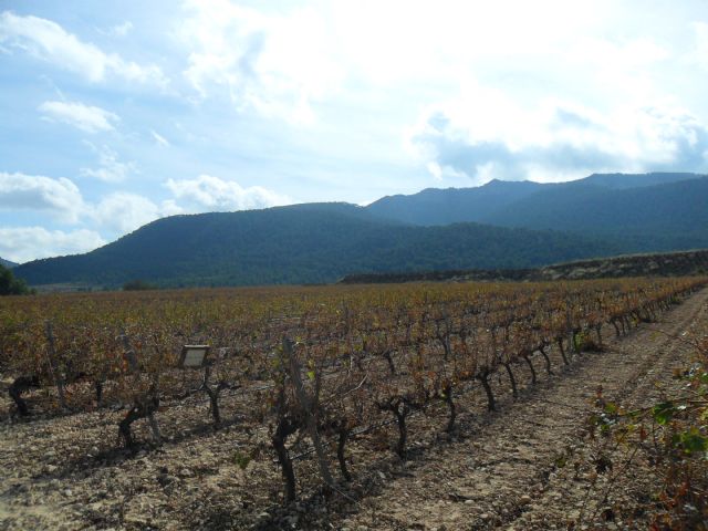 2. Ruta del Vino en Jumilla. 12/10/2013  - 60