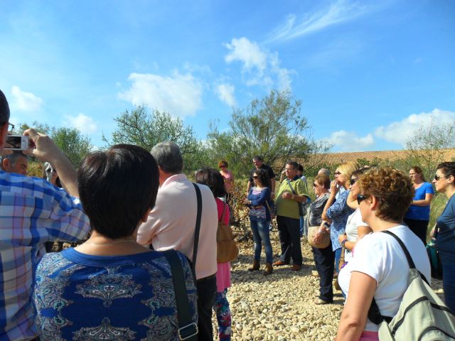 2. Ruta del Vino en Jumilla. 12/10/2013  - 106