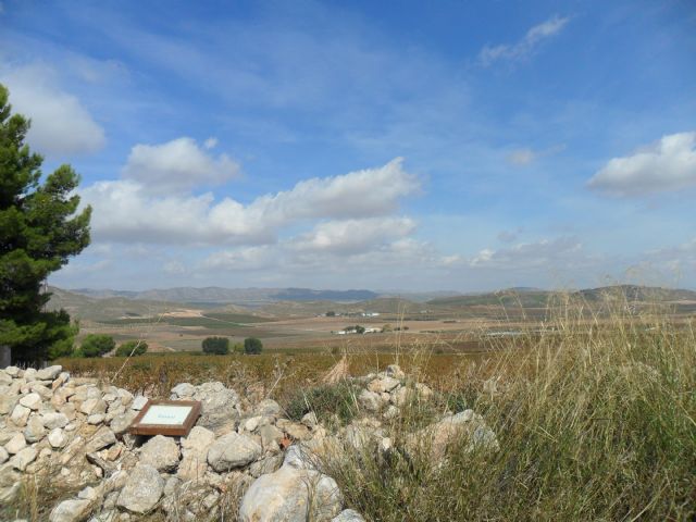 2. Ruta del Vino en Jumilla. 12/10/2013  - 107