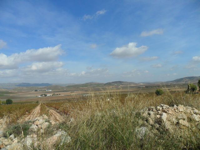2. Ruta del Vino en Jumilla. 12/10/2013  - 108