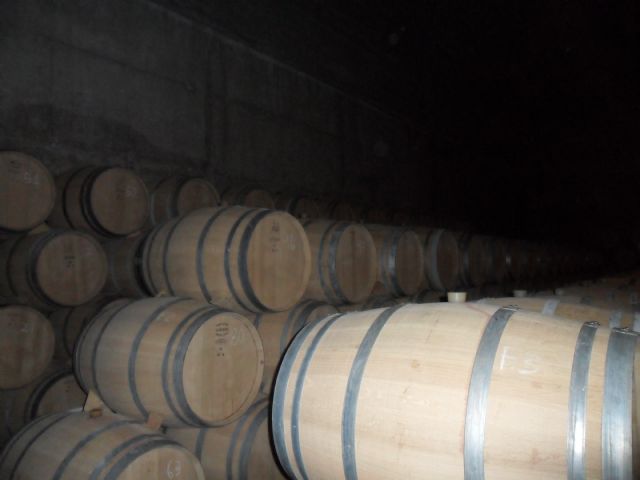 2. Ruta del Vino en Jumilla. 12/10/2013  - 91