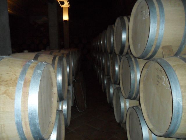 2. Ruta del Vino en Jumilla. 12/10/2013  - 94