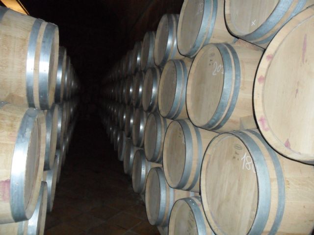 2. Ruta del Vino en Jumilla. 12/10/2013  - 96