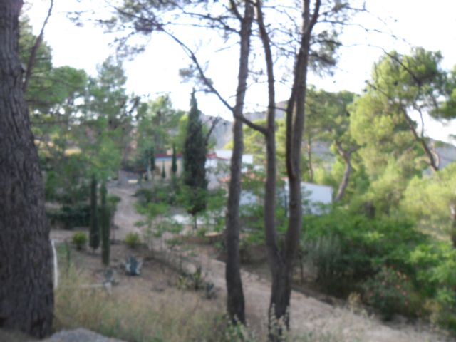 2. Ruta del Vino en Jumilla. 12/10/2013  - 104