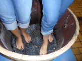 ruta-vino-jumilla2 - Foto 38