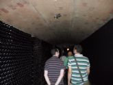 ruta-vino-jumilla2 - Foto 67