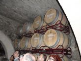 ruta-vino-jumilla2 - Foto 86
