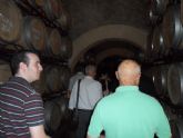 ruta-vino-jumilla2 - Foto 47