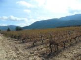 ruta-vino-jumilla2 - Foto 59