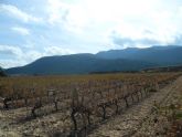 ruta-vino-jumilla2 - Foto 60