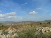 ruta-vino-jumilla2 - Foto 108