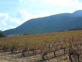 ruta-vino-jumilla2 - Foto 110