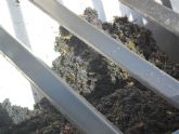 ruta-vino-jumilla2 - Foto 117