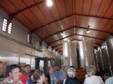 ruta-vino-jumilla2 - Foto 122