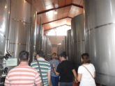 ruta-vino-jumilla2 - Foto 131