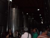 ruta-vino-jumilla2 - Foto 132
