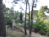 ruta-vino-jumilla2 - Foto 104