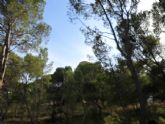 ruta-vino-jumilla2 - Foto 105